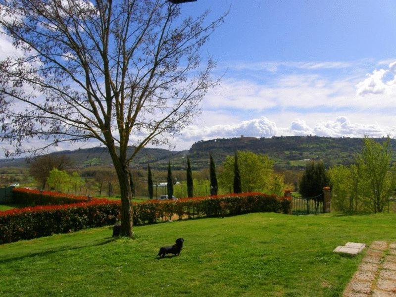 Agriturismo Il Poggio Di Орвието Экстерьер фото