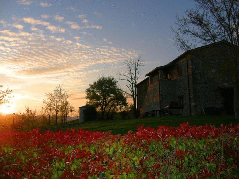 Agriturismo Il Poggio Di Орвието Экстерьер фото