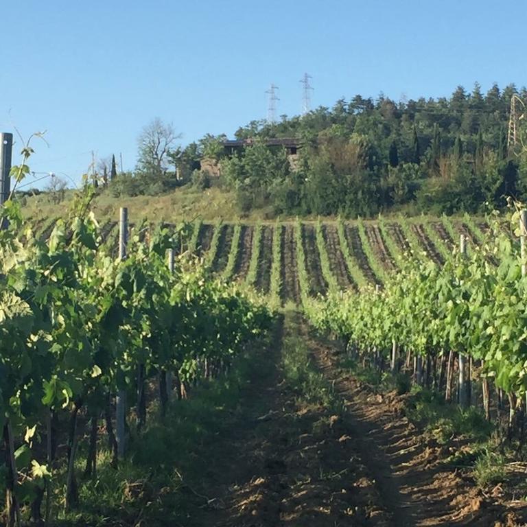 Agriturismo Il Poggio Di Орвието Экстерьер фото