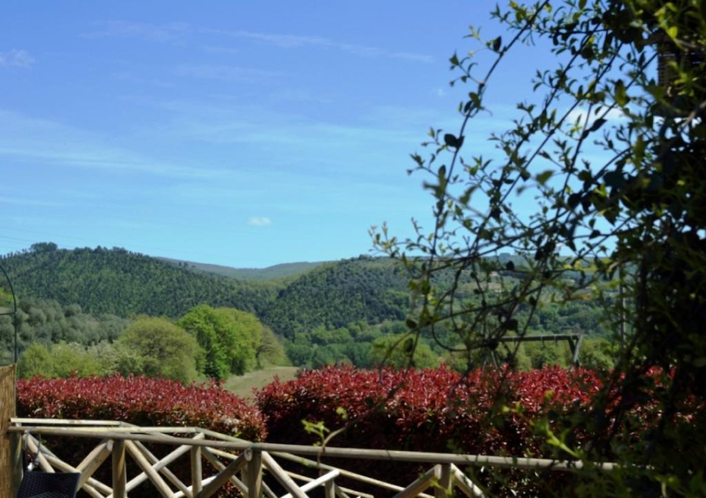 Agriturismo Il Poggio Di Орвието Экстерьер фото
